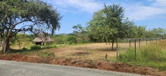 Rustic fenced lot with thatched hut and dirt road in Santa Catalina town Panama