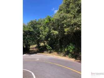 Curved paved mountain road bordered by trees leading to large farm land estate for sale