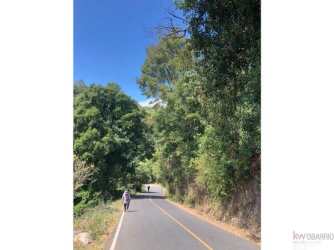 Paved rural road surrounded by tropical vegetation leading to expansive Boquete mountain land