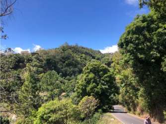 Hilly verdant landscape with thick trees ideal for subdivision or eco-retreat project