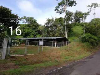 Farm Land with Houses for Sale in Cirí Grande - 3 bedrooms