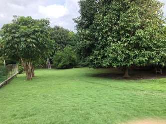 Large green backyard lawn surrounded by trees in Coronado gated community Panama