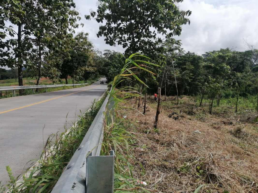Rural cleared lot along roadside frontage with trees and open commercial space Las Cumbres Panama Norte