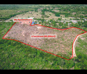 Aerial view of outlined large land parcel beside Panamericana with natural surroundings in Panama Oeste
