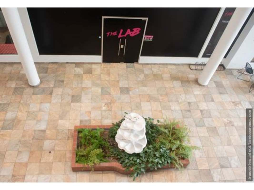 Spacious atrium interior with natural light Plaza Bella Vista Panama