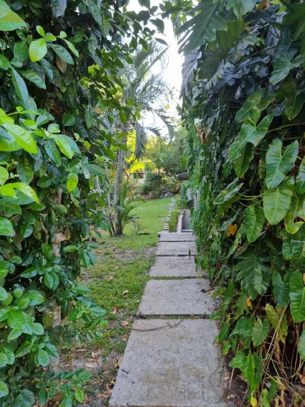 Stone walkway through tropical garden PH Clayton Park Clayton Panama