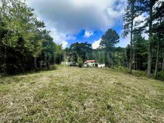 Small red-roof house on large open lot surrounded by forest Panama
