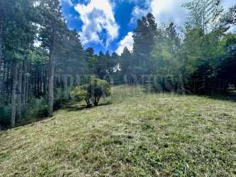 Grassy lot surrounded by forest and nature Altos del María Panama