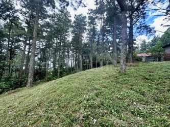 Sloped lot with cabin surrounded by tall trees in Altos del María Panama