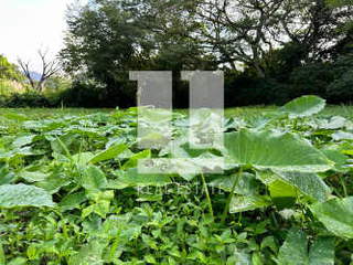 House for Sale in El Farallón - 3 bedrooms