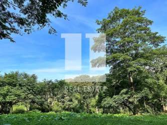 Scenic lush valley and mature trees at luxury home development Ladera Valle de Antón Panama