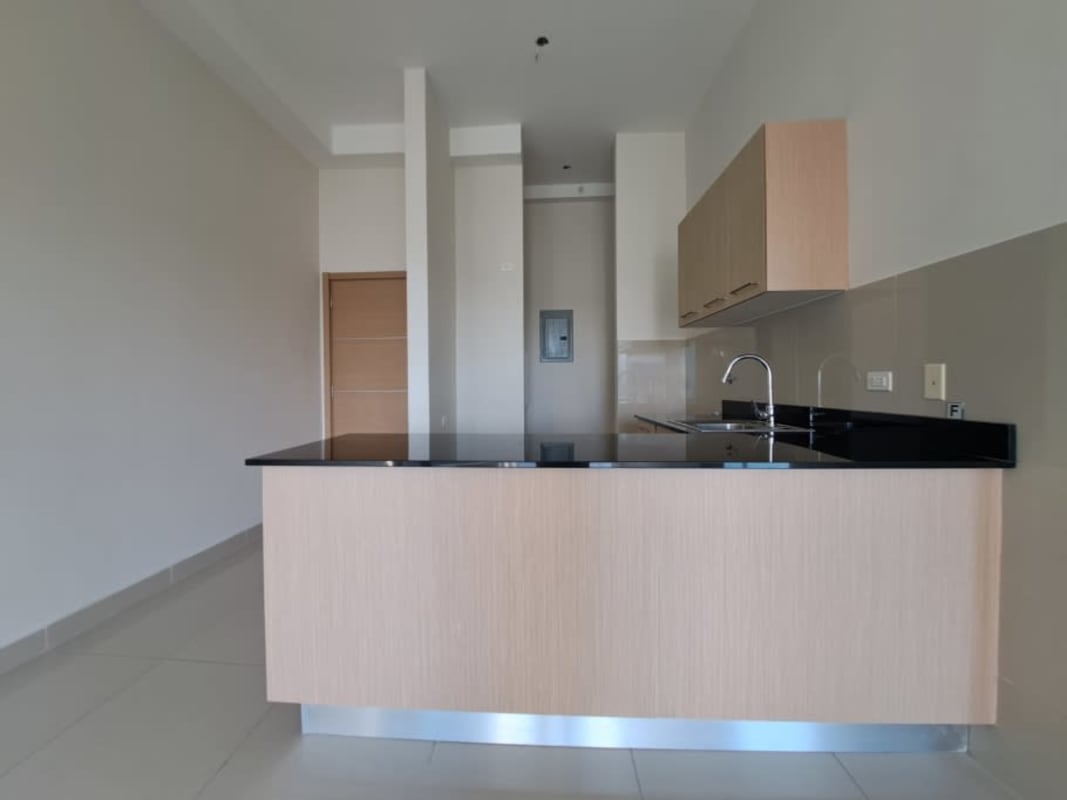 Contemporary kitchen with black granite countertop and light cabinetry PH Torres de Castilla
