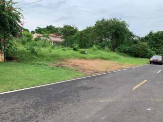 Vacant green lot adjacent to paved road and residential homes in Boquete Panama