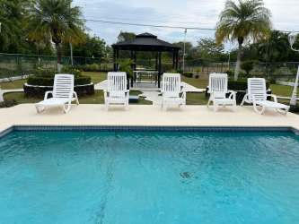Outdoor swimming pool with loungers, palm trees, tropical landscaping in Coronado Beach