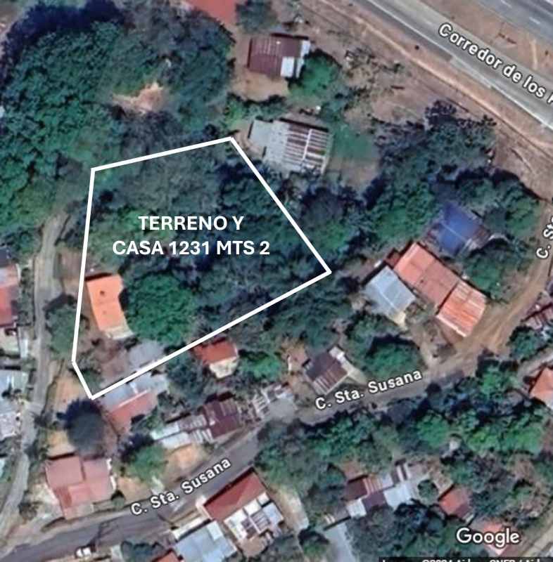 Second house and expansive land with tropical greenery in Ernesto Cordoba Campos Panama