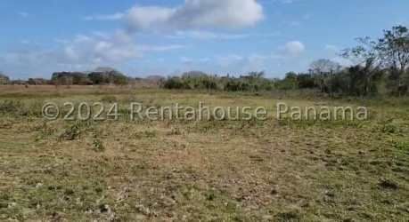 Flat undeveloped land with distant trees and blue sky Panama