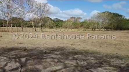 Large vacant farm plot with trees and open field in Antón Coclé Panama