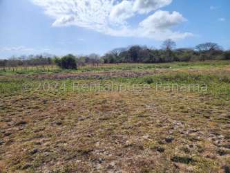 Grassy countryside undeveloped lot under blue sky in Panama Coclé