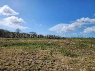 Land for Sale in El Coco - 0 bedrooms
