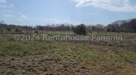 Large vacant land parcel with grass and trees in Panama countryside