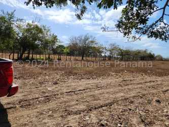 Flat rural plot with dirt access road and open space in Coclé Panama