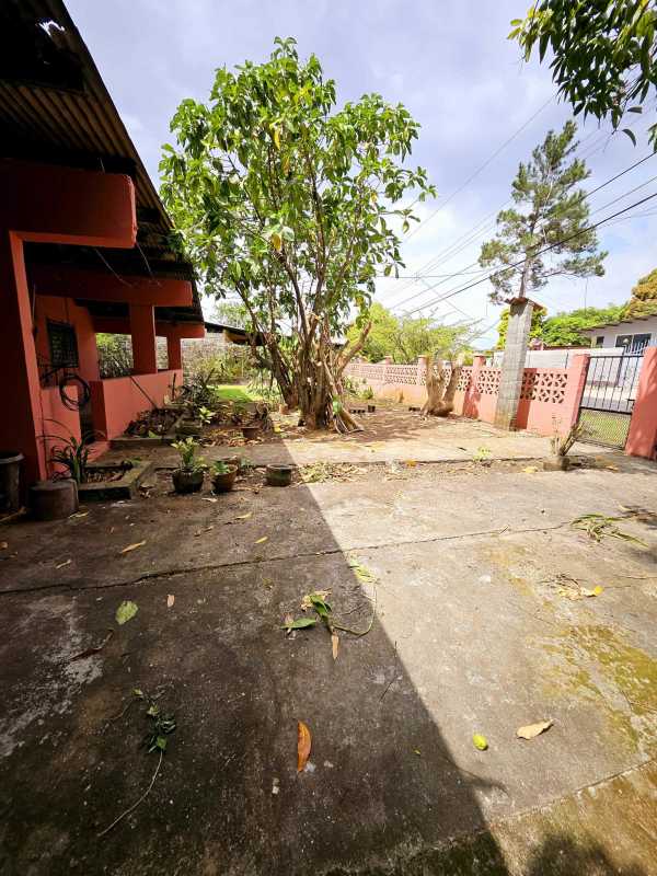 Spacious backyard with trees perfect for expansion or gardening behind Panama home
