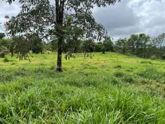 Nature view open farmland with green grass trees cloudy sky Volcan Bugaba Chiriqui