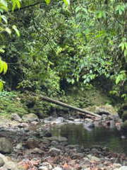 Farm / Land for Sale in Bugaba / Renacimiento - 0 bedrooms