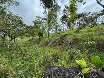 Grassy ranch land with slope and natural vegetation 4.5 hectares Chiriqui Panama