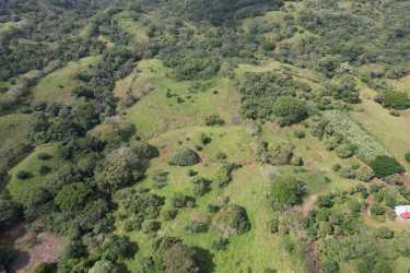 Rolling hills and open pastures perfect for farm or development near Playa Venao Panama.