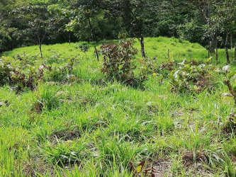 Wooded hilly terrain with paddocks and cattle corrals in Río de Jesús farmland Veraguas