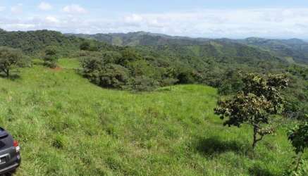 Lush green pasture with river crossing through farmland at Río de Jesús Veraguas