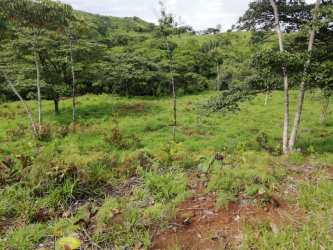 Natural water river flowing through green pastures on 75 hectare Panama farmland for sale