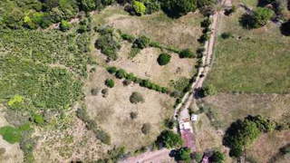 Land / Farm for Sale in Bejuco - 0 bedrooms