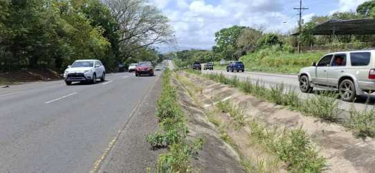 Two-way road with vehicles bordered by greenery and power lines near commercial lot Panama