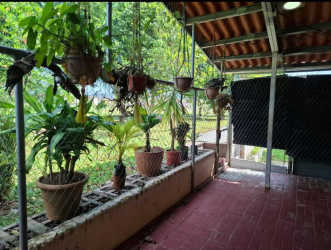 Rustic covered brick patio with garden plants in Vacamonte Arraiján house for sale