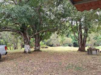 Spacious yard with large mature trees around country house for rent Las Uvas Panama