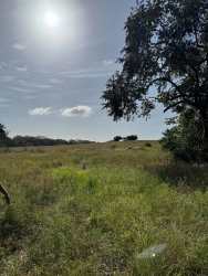 Shallow creek beside dense green vegetation at Pedasi farmland Los Santos Panama