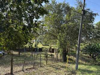Fenced natural land with shade trees Pedasi investment lot Los Santos Panama