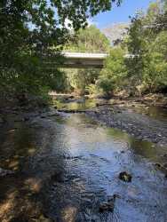 Open countryside with palm and native trees on Pedasi land parcel Panama