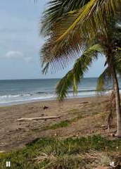 Land for Sale in Pedasi - 0 bedrooms