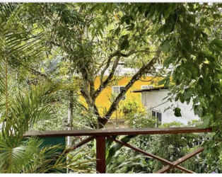 Covered outdoor patio dining with Caribbean mural painting at Portobelo eco-hostel