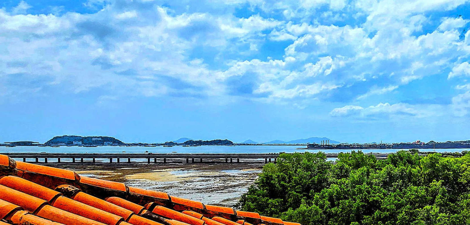 Contemporary semi-open kitchen with custom wood cabinetry in penthouse Casco Viejo.