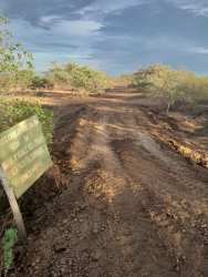 Unpaved road crossing farmland with bushes in Aguadulce Panama countryside