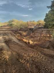 Hand holding new seedling over open cultivated field in El Roble Coclé Panama