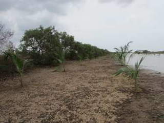 Land for Sale in Aguadulce - 0 bedrooms