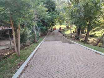 Calm natural creek with footbridge surrounded by trees at rural finca near Capira Panama