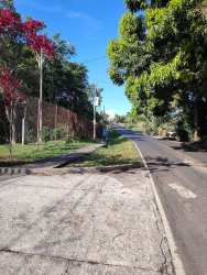 Expansive green garden with dense trees at countryside ranch retreat in Panama