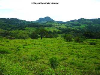 Waterfalls cascading into clear pools surrounded by tropical forest within Panama farm for sale