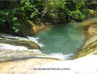 200 Hectares with Stream Year-Round & 30ha Cedro Amargo